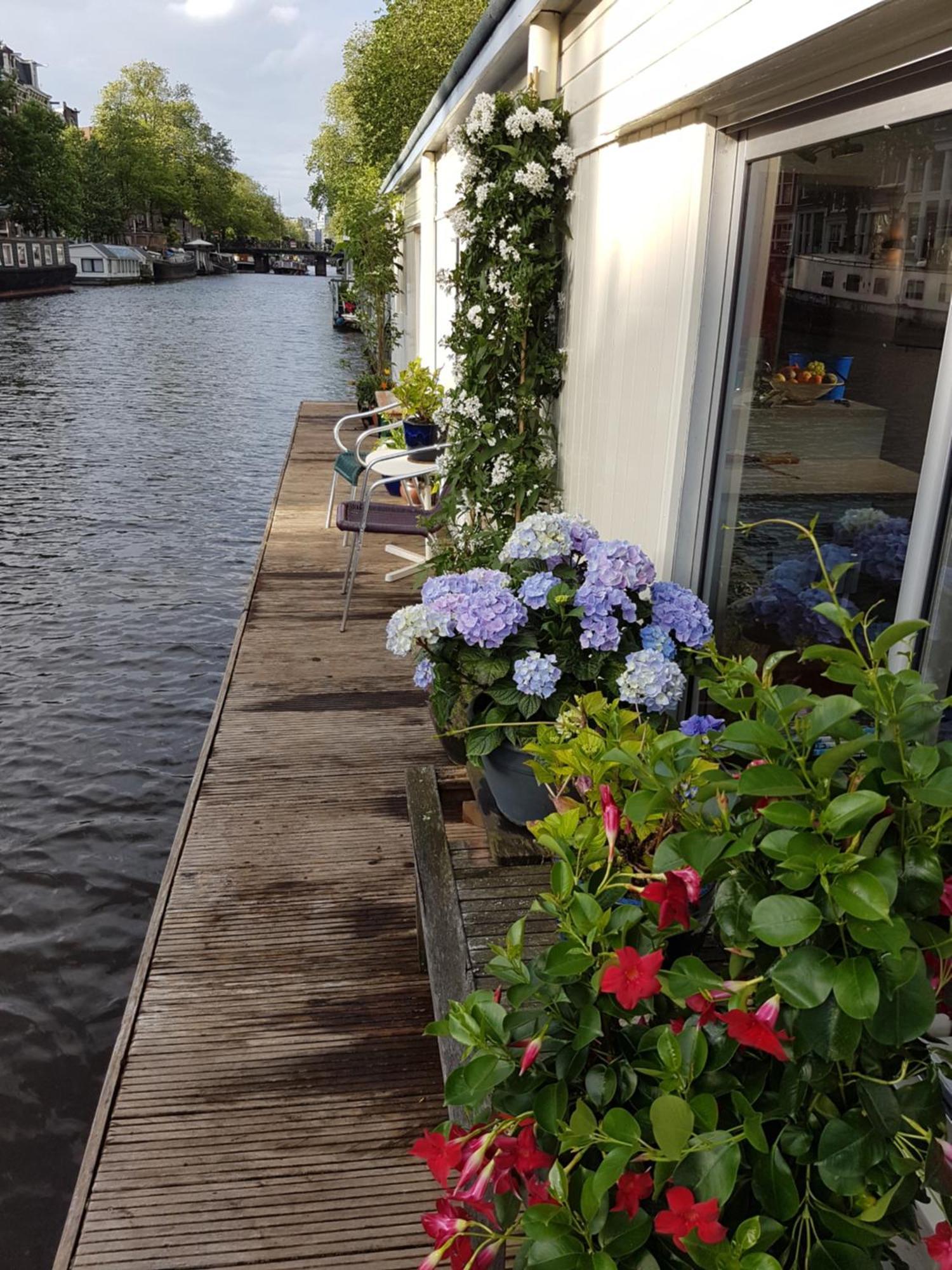 Pantheos Top Houseboat アムステルダム エクステリア 写真
