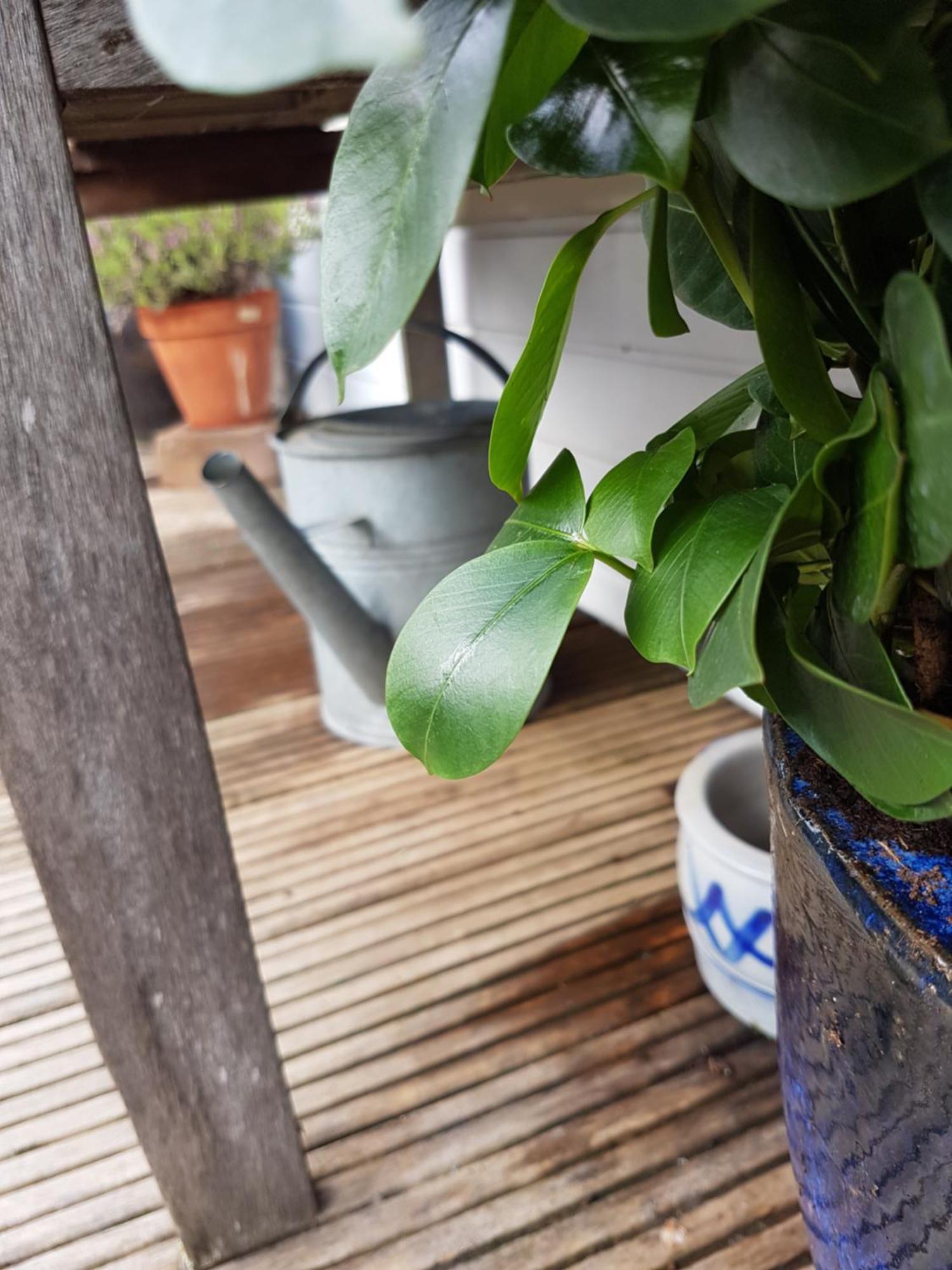 Pantheos Top Houseboat アムステルダム エクステリア 写真